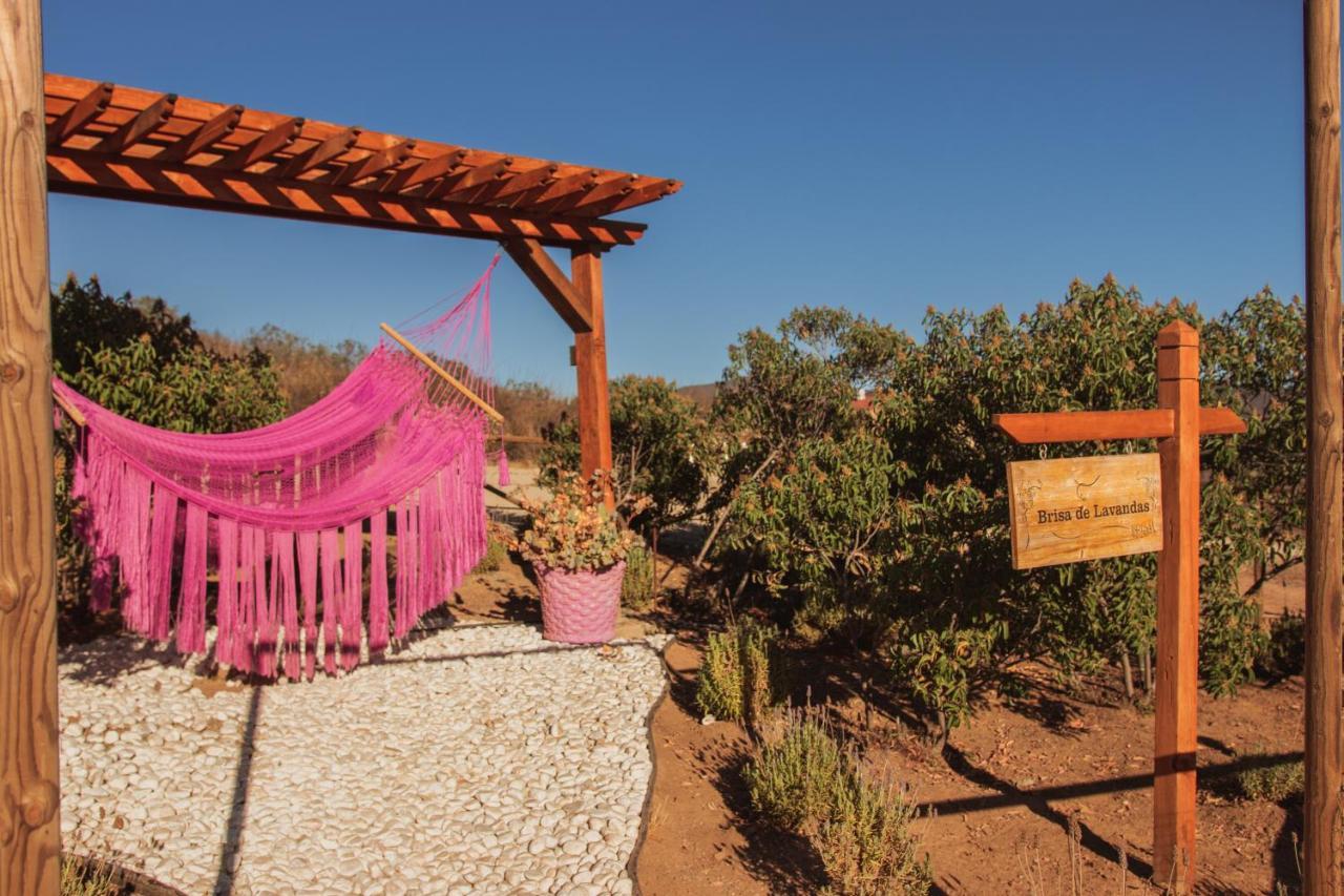 Brisa Del Valle Hotel Boutique Valle de Guadalupe Exterior photo